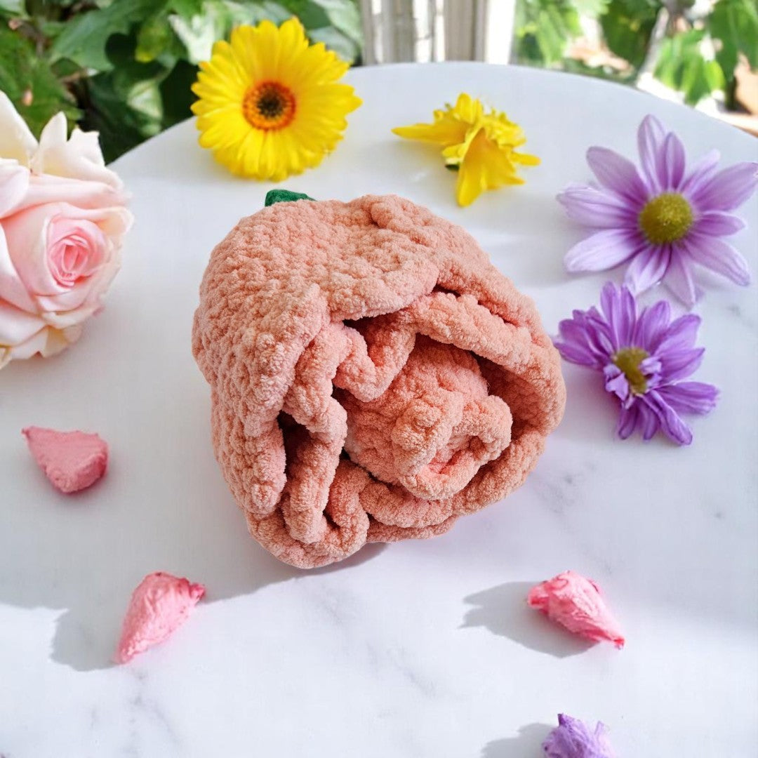 Crochet Toys | Plushie